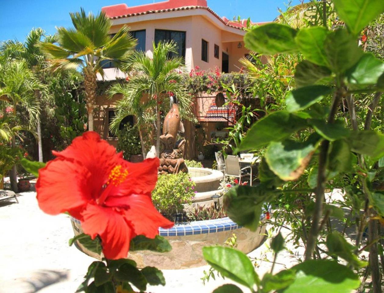 La Ribera Hacienda De Palmas B&B 외부 사진